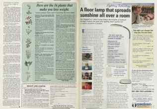 Better Homes & Gardens February 2002 Magazine Article: Page 204