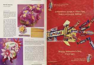 Better Homes & Gardens February 2002 Magazine Article: Page 208