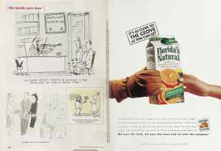 Better Homes & Gardens February 2002 Magazine Article: Page 220