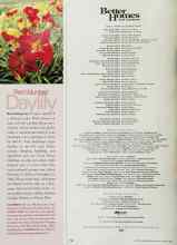 Better Homes & Gardens March 2002 Magazine Article: Red Volunteer Daylily