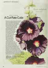 Better Homes & Gardens March 2002 Magazine Article: Editor's choice A Cut-Rate Cutie