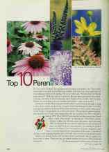 Better Homes & Gardens March 2002 Magazine Article: Top 10 Perennials