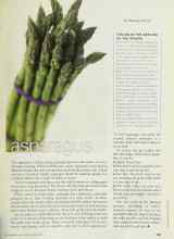 Better Homes & Gardens March 2002 Magazine Article: Asparagus