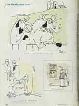 Better Homes & Gardens March 2002 Magazine Article: The family next door