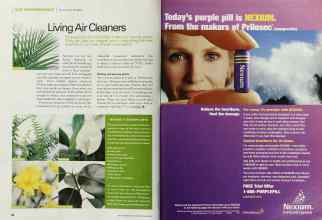 Better Homes & Gardens March 2002 Magazine Article: Page 96