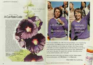 Better Homes & Gardens March 2002 Magazine Article: Page 100