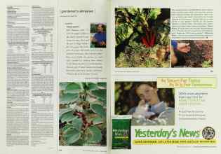 Better Homes & Gardens March 2002 Magazine Article: Copius greens