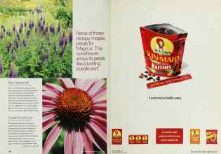 Better Homes & Gardens March 2002 Magazine Article: Page 106