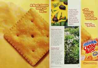 Better Homes & Gardens March 2002 Magazine Article: Page 108