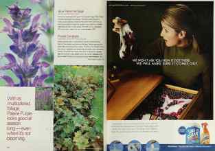 Better Homes & Gardens March 2002 Magazine Article: Page 112