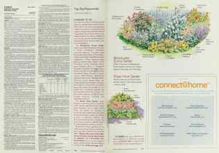 Better Homes & Gardens March 2002 Magazine Article: Page 116