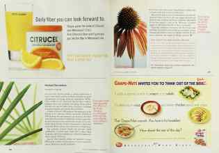 Better Homes & Gardens March 2002 Magazine Article: Page 226