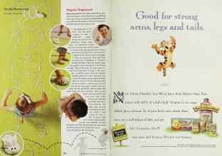 Better Homes & Gardens March 2002 Magazine Article: Page 238