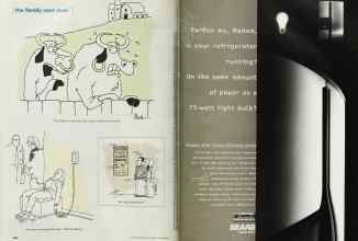 Better Homes & Gardens March 2002 Magazine Article: Page 248