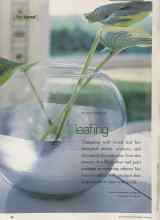 Better Homes & Gardens April 2002 Magazine Article: Leafing