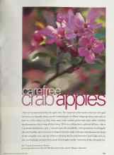 Better Homes & Gardens April 2002 Magazine Article: Carefree crab apples