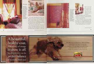 Better Homes & Gardens April 2002 Magazine Article: Page 68