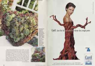 Better Homes & Gardens April 2002 Magazine Article: Page 136