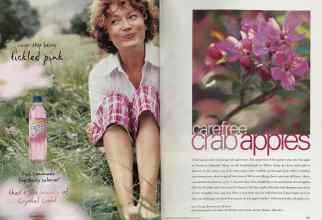 Better Homes & Gardens April 2002 Magazine Article: Page 150