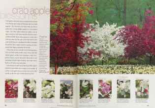 Better Homes & Gardens April 2002 Magazine Article: Page 152