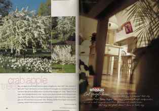 Better Homes & Gardens April 2002 Magazine Article: Page 154