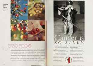 Better Homes & Gardens April 2002 Magazine Article: Page 156