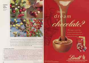 Better Homes & Gardens April 2002 Magazine Article: Page 158