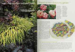 Better Homes & Gardens April 2002 Magazine Article: Page 166