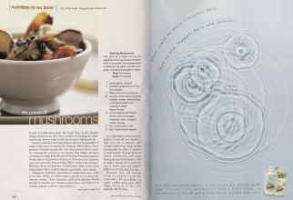 Better Homes & Gardens April 2002 Magazine Article: Page 216