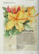 Better Homes & Gardens May 2002 Magazine Article: Hit the Lights