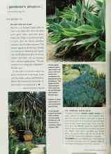 Better Homes & Gardens May 2002 Magazine Article: TO ORDER AZALEAS