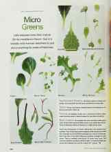 Better Homes & Gardens May 2002 Magazine Article: Micro Greens