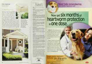Better Homes & Gardens May 2002 Magazine Article: Page 44