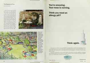 Better Homes & Gardens May 2002 Magazine Article: Page 56