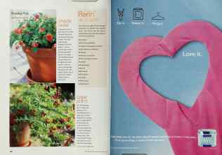 Better Homes & Gardens May 2002 Magazine Article: Page 162