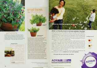 Better Homes & Gardens May 2002 Magazine Article: Page 164