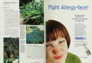 Better Homes & Gardens May 2002 Magazine Article: Page 174