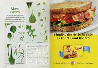 Better Homes & Gardens May 2002 Magazine Article: Page 236