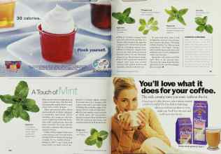 Better Homes & Gardens May 2002 Magazine Article: A Touch of Mint