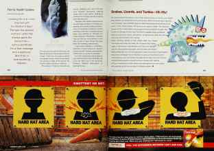 Better Homes & Gardens May 2002 Magazine Article: Page 258