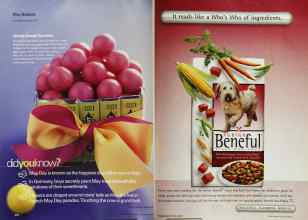 Better Homes & Gardens May 2002 Magazine Article: Page 278