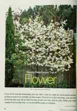 Better Homes & Gardens June 2002 Magazine Article: How to Make Fences That Flower