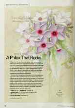 Better Homes & Gardens June 2002 Magazine Article: A Phlox That Rocks