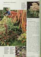 Better Homes & Gardens June 2002 Magazine Article: Some advice from a pro