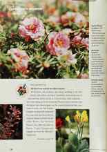 Better Homes & Gardens June 2002 Magazine Article: All-stars from outside the office window