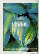 Better Homes & Gardens June 2002 Magazine Article: No More Ho-Hum Hostas