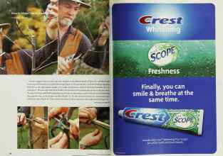 Better Homes & Gardens June 2002 Magazine Article: Page 66