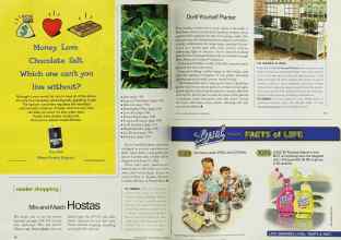 Better Homes & Gardens June 2002 Magazine Article: Page 70