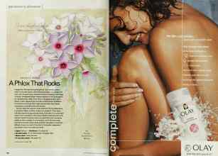 Better Homes & Gardens June 2002 Magazine Article: Page 166