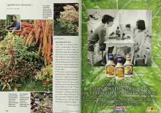 Better Homes & Gardens June 2002 Magazine Article: Page 168